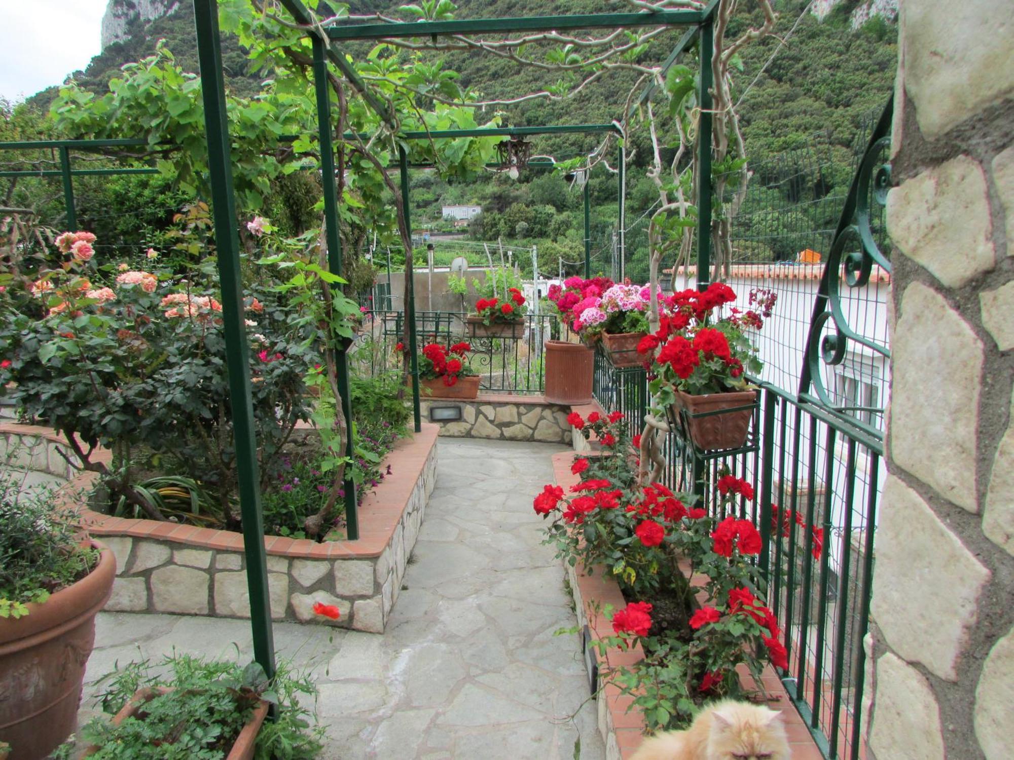 B&B Palazzo A Mare Capri Exterior photo