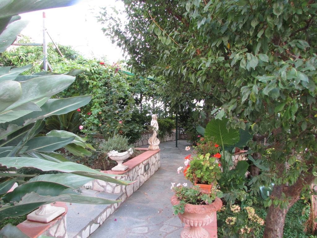 B&B Palazzo A Mare Capri Exterior photo